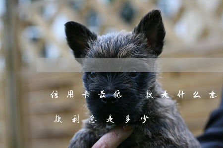信用卡最低還款是什么意思-信用卡最低還款利息是多少