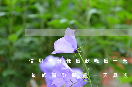 信用卡最低還款晚還一天算逾期嗎-信用卡最低還款晚還一天算逾期嗎怎么辦