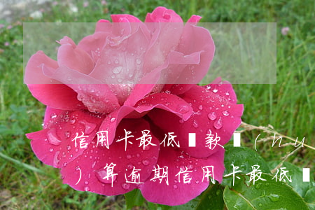 信用卡最低還款會(huì)不會(huì)算逾期(信用卡 最低還款 逾期)