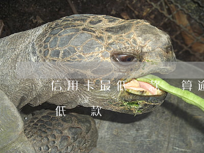 信用卡最低還款會算逾期嗎(還信用卡超過最低還款)