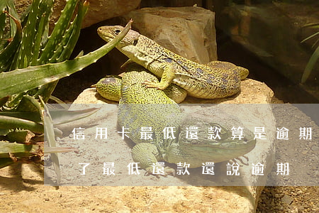 信用卡最低還款算是逾期嗎(為什么信用卡還了最低還款還說逾期)