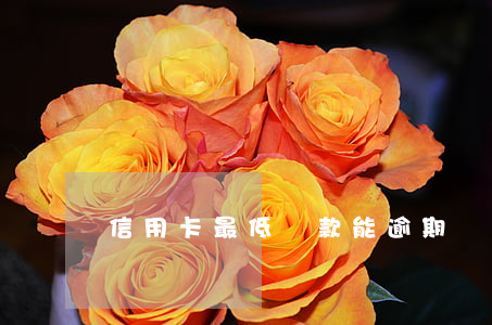 信用卡最低還款能逾期幾天