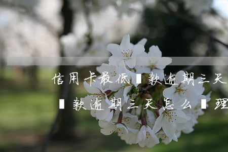 信用卡最低還款逾期三天怎么辦(信用卡最低還款逾期三天怎么辦理)