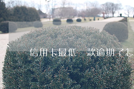 信用卡最低還款逾期了怎么辦