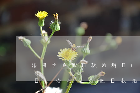 信用卡最低還款逾期會(huì)通知單位嗎-信用卡最低還款逾期會(huì)通知單位嗎知乎