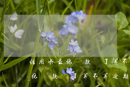 信用卡最低還款還了算不算逾期-信用卡最低還款還了算不算逾期了