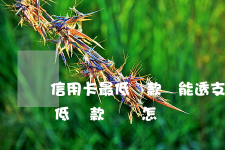 信用卡最低還款還能透支嗎(透支卡只還了最低還款額會怎樣)