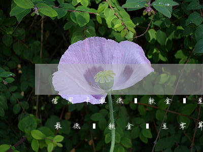 信用卡最低還款金額是零算逾期嗎-信用卡最低還款金額是零算逾期嗎怎么辦