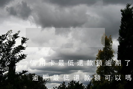 信用卡最低還款額逾期了會(huì)怎樣(逾期最低還款額可以嗎)