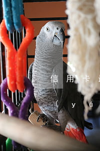 信用卡最低額度逾期了(低額度信用卡逾期嚴(yán)重嗎)