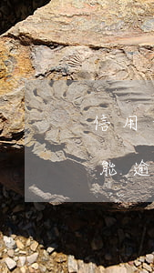 信用卡最低額逾期一天(哪個銀行的信用卡不能逾期一天)