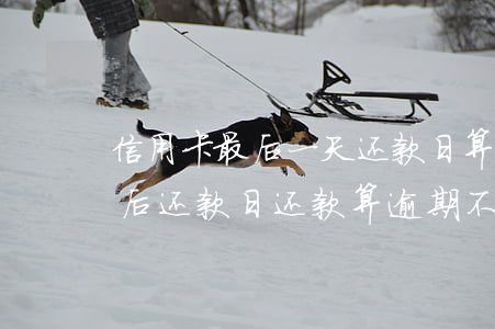 信用卡最后一天还款日算逾期吗 在信用卡最后还款日还款算逾期不