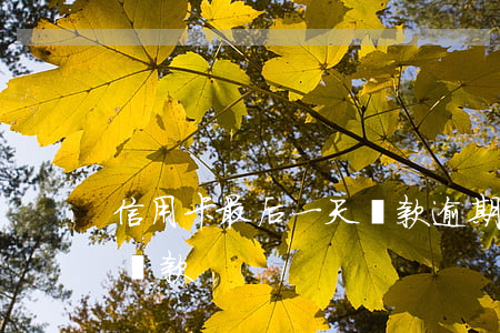 信用卡最后一天還款逾期(信用卡逾期了一周還款)