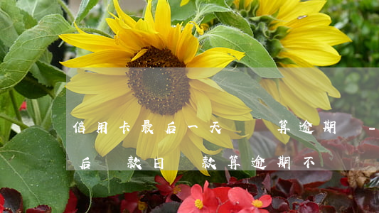 信用卡最后一天還錢算逾期嗎-在信用卡最后還款日還款算逾期不