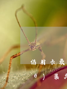 信用卡最后不還會(huì)有啥結(jié)果(欠信用卡不還有什么后果)