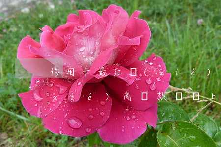 信用卡最后協(xié)商 信用卡最后協(xié)商還款沒還上會有什么后果