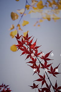 信用卡最后還款日幾點(diǎn)不算逾期(信用卡最后還款日幾點(diǎn)不算逾期)