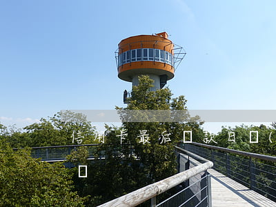 信用卡最后還款日過(guò)三天算逾期嗎
