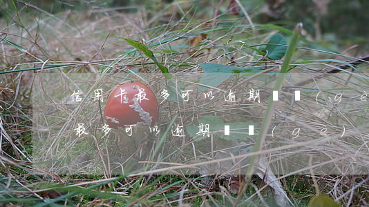 信用卡最多可以逾期幾個(gè)月(信用卡最多可以逾期幾個(gè)月)