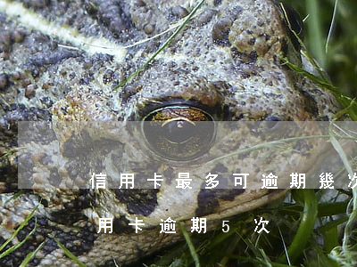信用卡最多可逾期幾次 兩年內(nèi)信用卡逾期5次