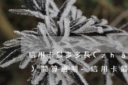 信用卡最多多長(zhǎng)時(shí)間算逾期-信用卡最多多長(zhǎng)時(shí)間算逾期