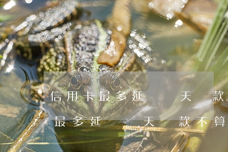 信用卡最多延遲幾天還款不算逾期-信用卡最多延遲幾天還款不算逾期嗎