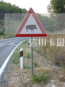 信用卡最多能逾期(信用卡最多能逾期几次)
