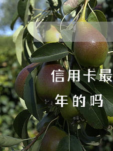 信用卡最多能逾期多长时间(有信用卡逾期几年的吗)