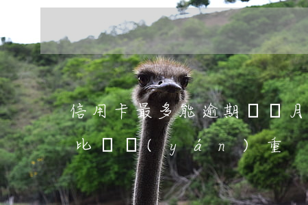 信用卡最多能逾期幾個月(信用卡逾期多少天比較嚴(yán)重?)
