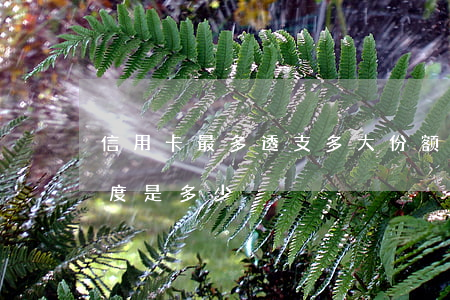 信用卡最多透支多大份额(信用卡最大透支额度是多少)