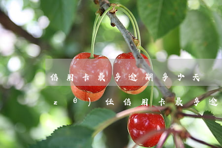 信用卡最多逾期多少天負(fù)法律責(zé)任（信用卡最多逾期多少天）