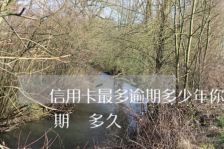 信用卡最多逾期多少年(你們的信用卡最長逾期過多久)