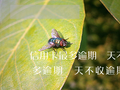 信用卡最多逾期幾天不收逾期費-信用卡最多逾期幾天不收逾期費嗎