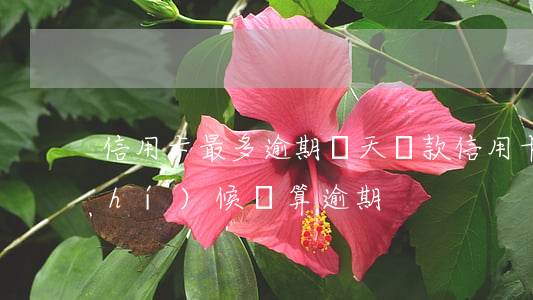 信用卡最多逾期幾天還款(信用卡什么時(shí)候還算逾期)
