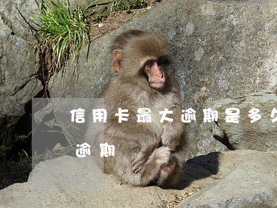 信用卡最大逾期是多久-好几个银行信用卡逾期
