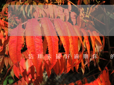 信用卡最好逾期(你們的信用卡逾期多久了)