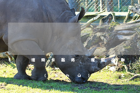 信用卡最底額度算逾期嗎(信用卡逾期多少算數(shù)額較大)