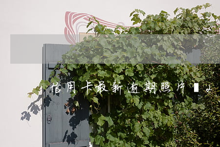 信用卡最新逾期照片圖 2020逾期信用卡
