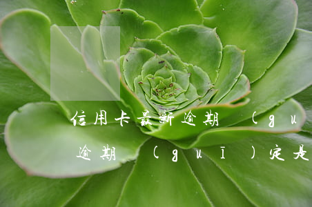 信用卡最新逾期規(guī)定(信用卡最新逾期規(guī)定是多少)