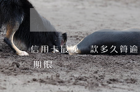 信用卡最晚還款多久算逾期(信用卡最遲還款期限)