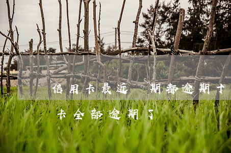 信用卡最近幾期都逾期(十幾個(gè)信用卡全部逾期了)
