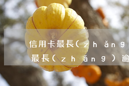 信用卡最長(zhǎng)逾期一次(信用卡最長(zhǎng)逾期一次會(huì)怎么樣)