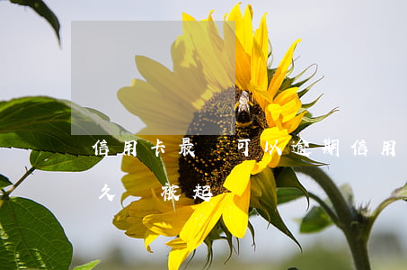 信用卡最長可以逾期 信用卡最長可以逾期多久會被起訴