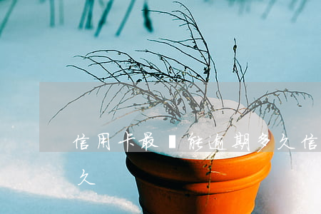 信用卡最長能逾期多久(信用卡逾期期限是多久)