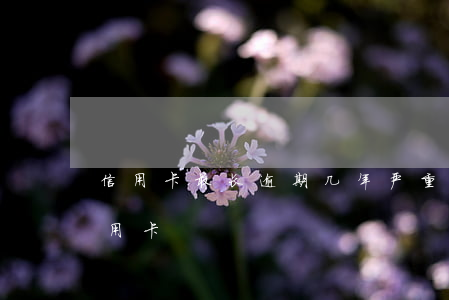 信用卡最长逾期几年(严重逾期多久能申请信用卡)