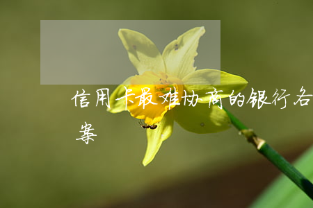 信用卡最难协商的银行(各银行信用卡协商方案)
