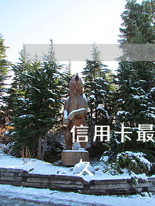 信用卡最高可透支多少天(信用卡可以透支多久)