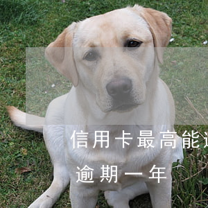信用卡最高能逾期多少年(10張信用卡全部逾期一年)