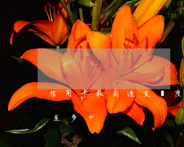 信用卡最高透支額度50完(透支卡最低額度是多少)