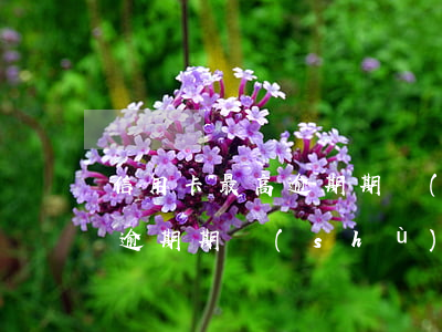 信用卡最高逾期期數(shù)(信用卡最高逾期期數(shù)超標什么意思)